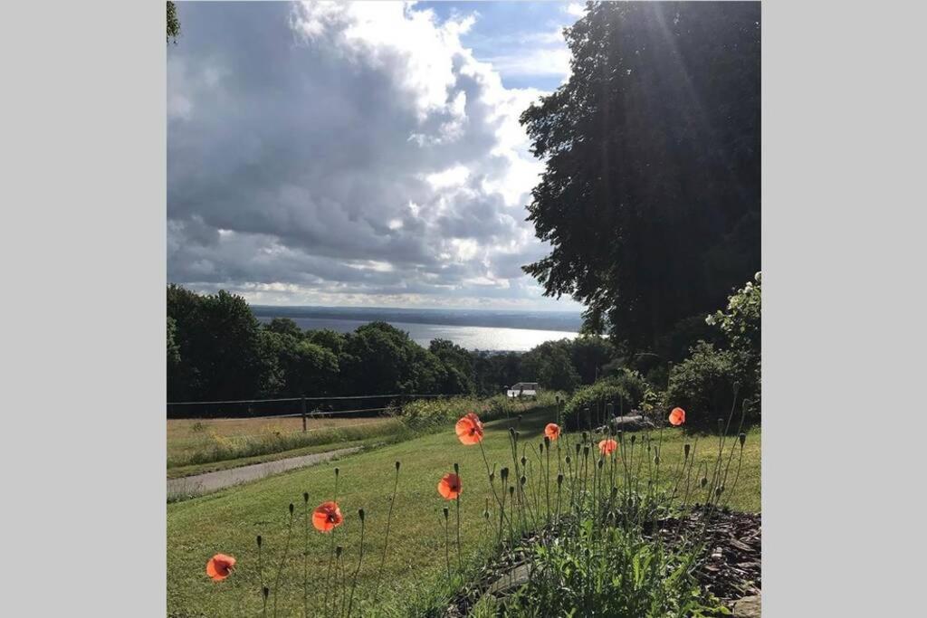 Villa med fantastisk utsikt Båstad Exteriör bild