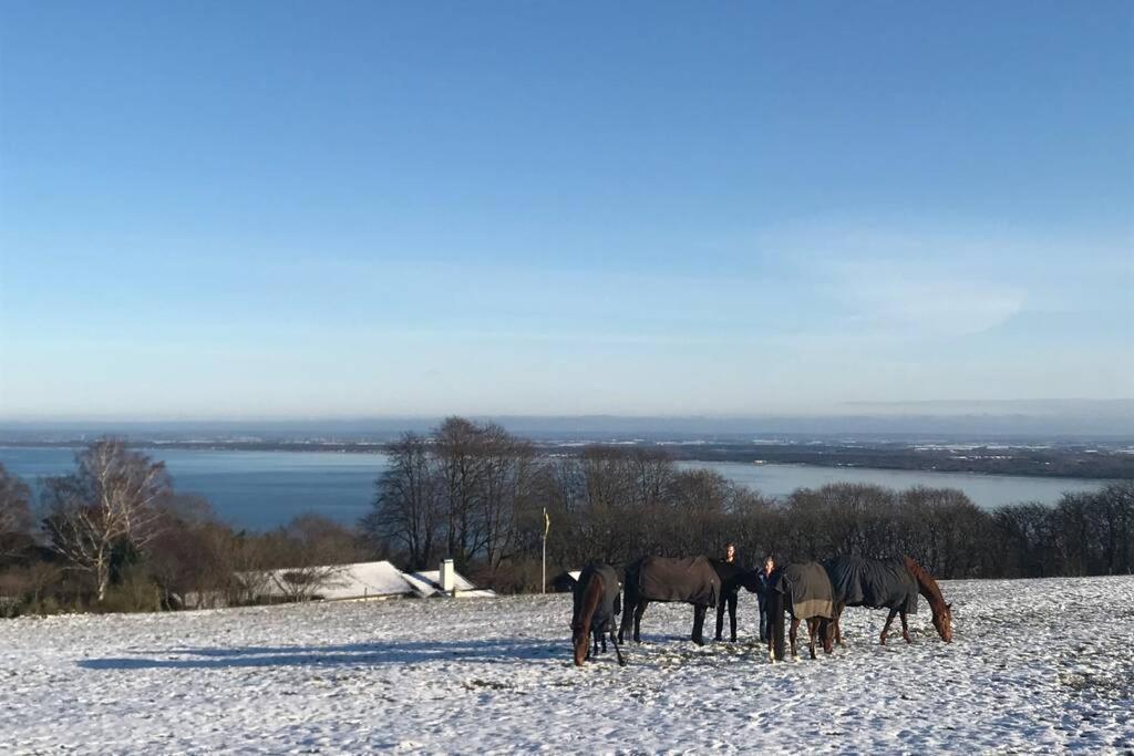 Villa med fantastisk utsikt Båstad Exteriör bild