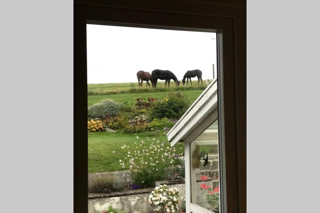 Villa med fantastisk utsikt Båstad Exteriör bild